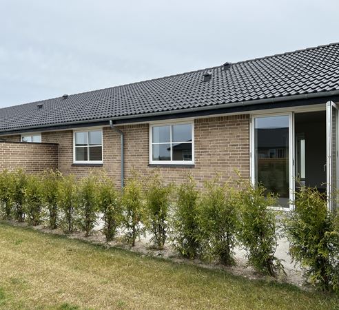 img_1720 img_1720
